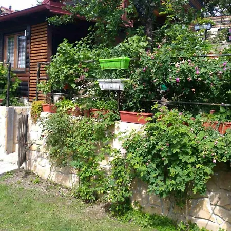 The Szarajevó